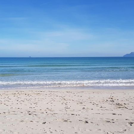 Ideal Property Mallorca - Marvi Alcúdia Eksteriør bilde