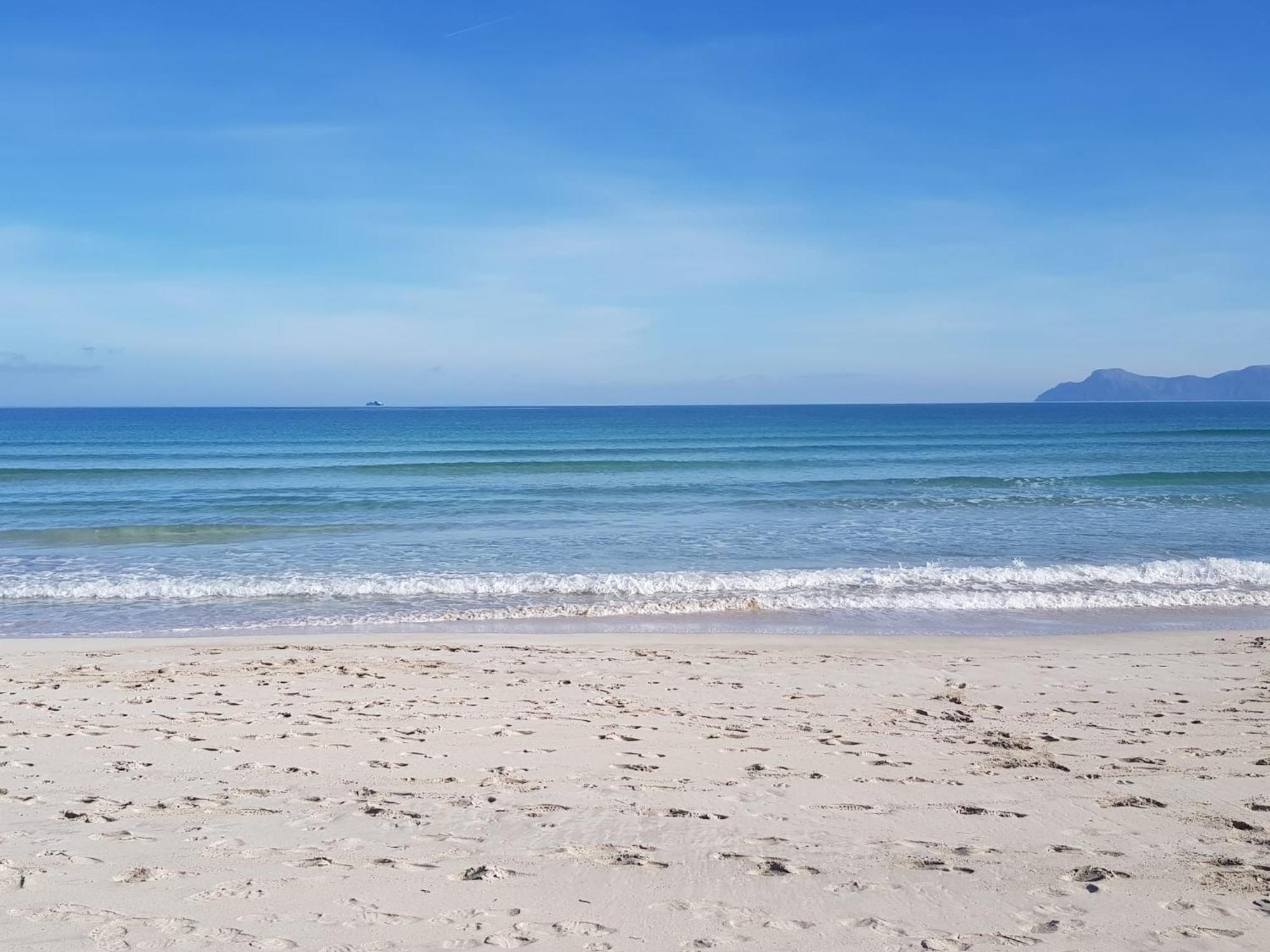 Ideal Property Mallorca - Marvi Alcúdia Eksteriør bilde